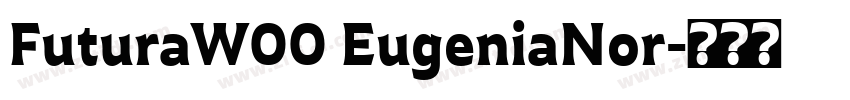 FuturaW00 EugeniaNor字体转换